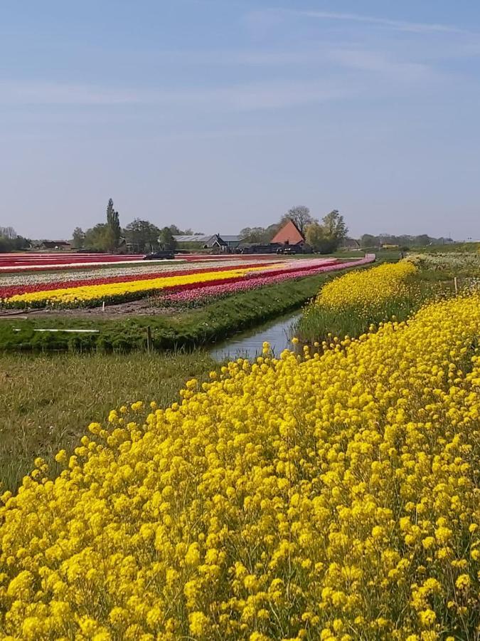 霍恩Achterom 7住宿加早餐旅馆 外观 照片